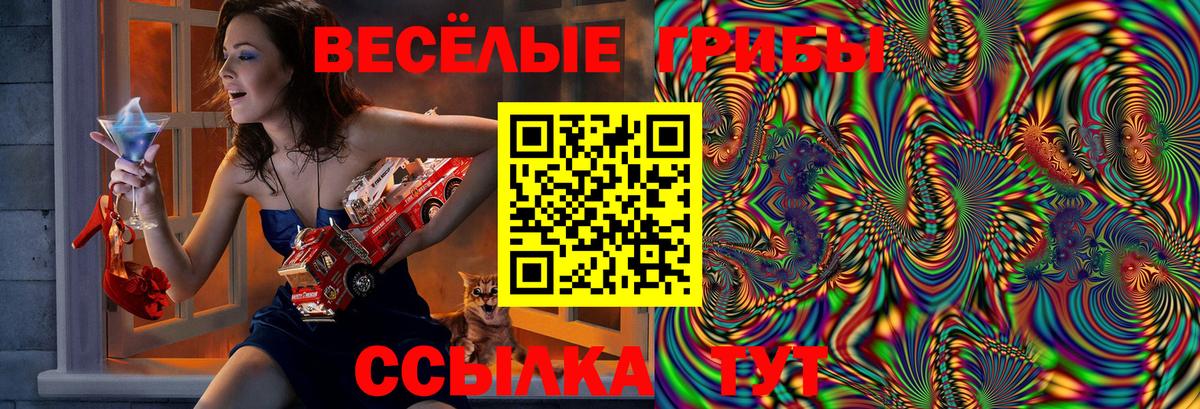 Псилоцибиновые грибы мухоморы Амурск